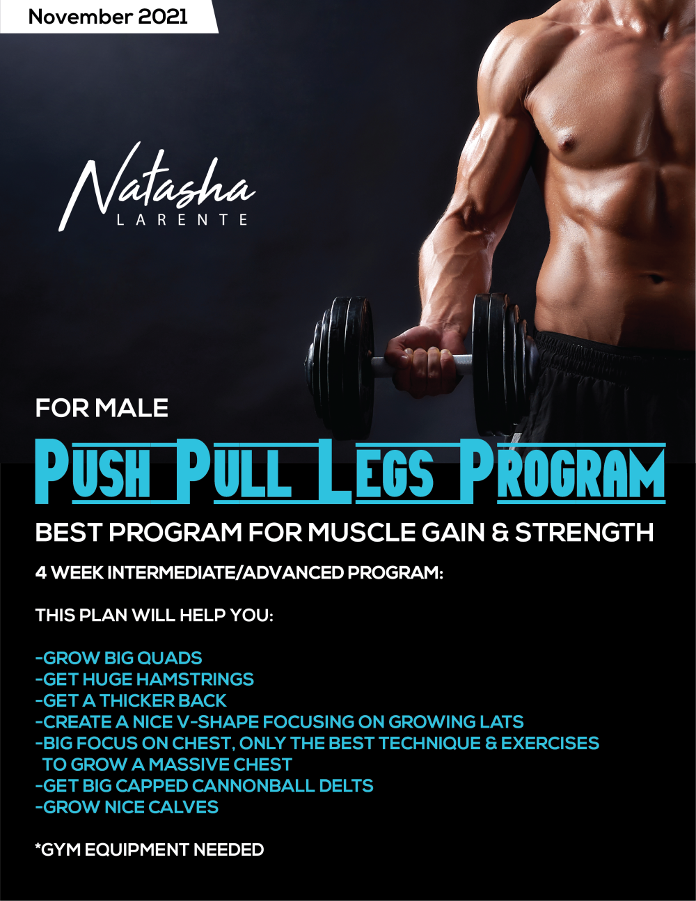 PUSH PULL LEGS PROGRAM - FOR MALE